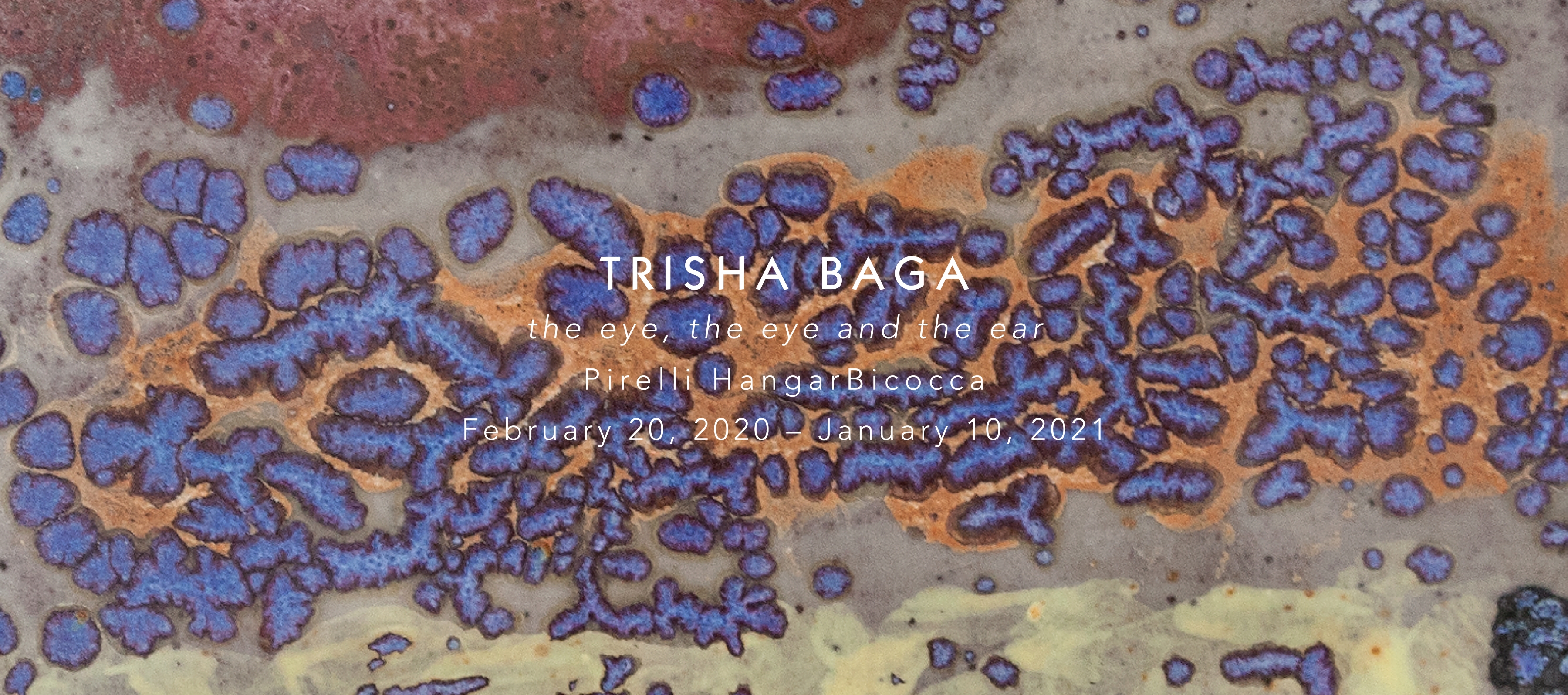 Trisha Baga